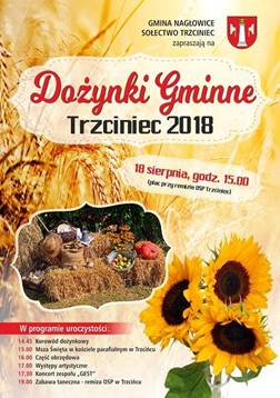 dozynki gminne trzciniec 2018